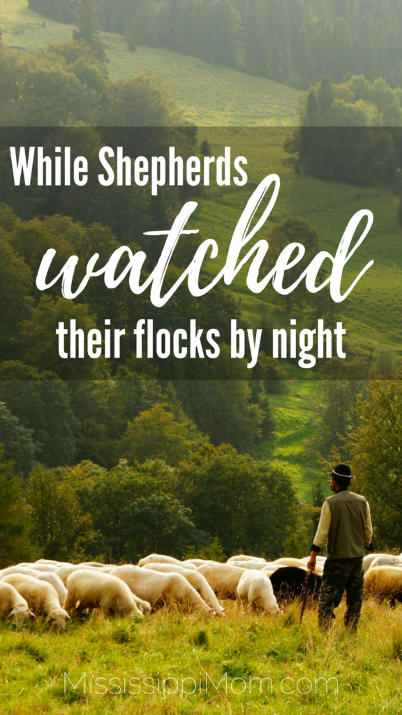 While Shepherds Watched Their Flocks by Night:  25 Days of Christmas Devotions for Your Entire Family