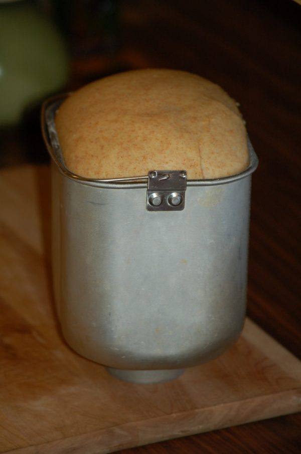 Bread Machine Butterhorn Rolls