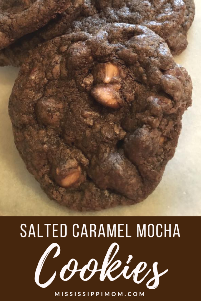 Salted Caramel Mocha Cookies are the answer to almost all your cravings! The mixture of salty & sweet is just right in these soft & chewy chocolate cookies!